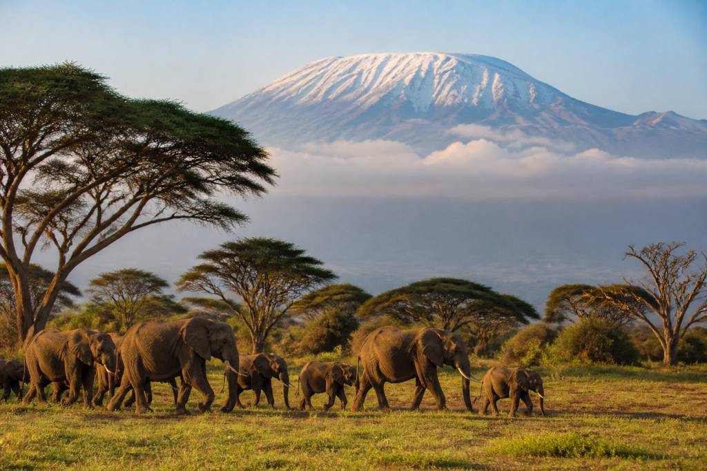 Voyage en Tanzanie : itinéraire idéal pour une première découverte