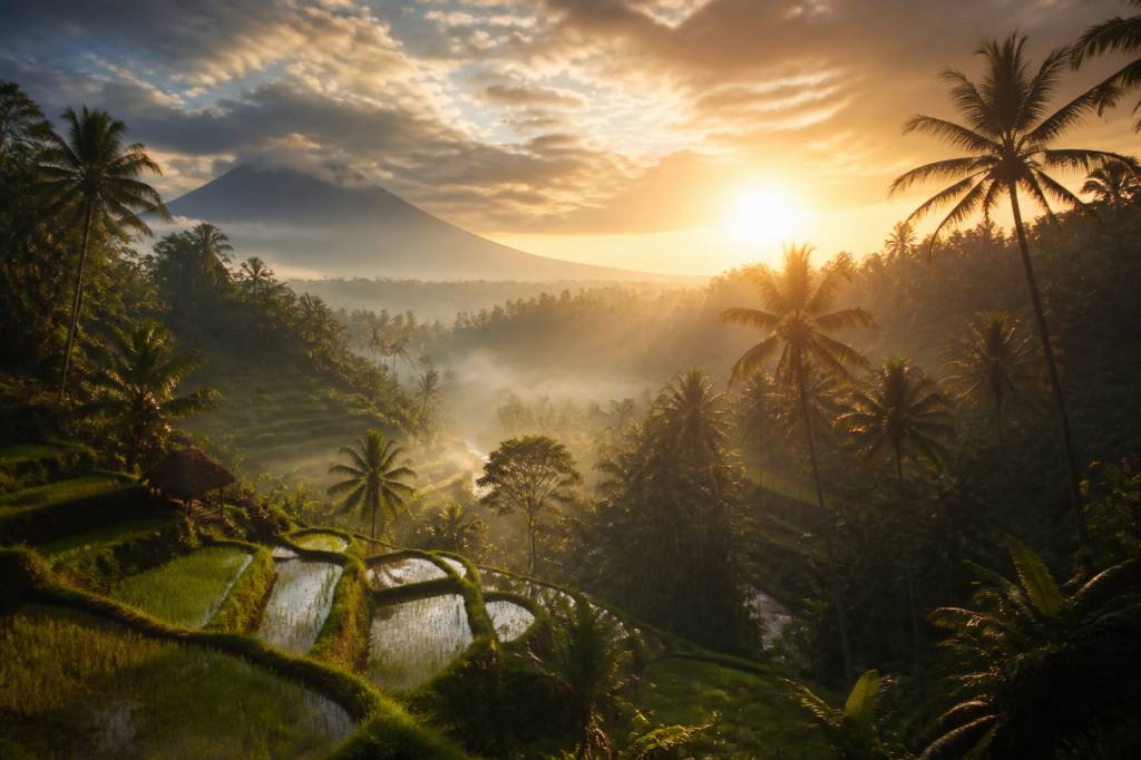 Bali paysage : les plus beaux panoramas à découvrir sur l’île des dieux